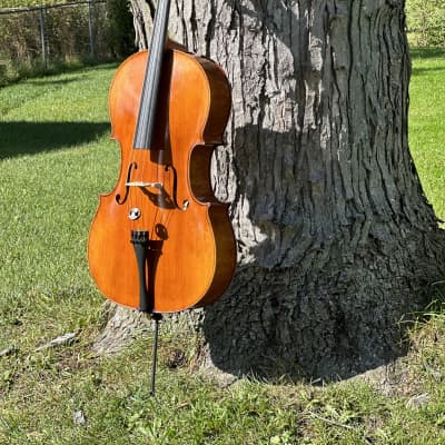 Eastman Stradivarius 2014 - Traditional Wooden image 2