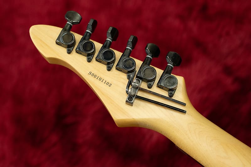 Aria Pro Ⅱ ZZ Series Custom #S00101102 3.5kg【横浜店】 | Reverb