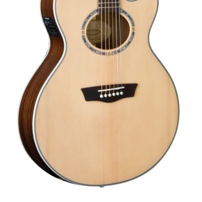 Washburn EA20S Nuno Bettencourt Festival Cutaway Acoustic Electric Guitar for sale