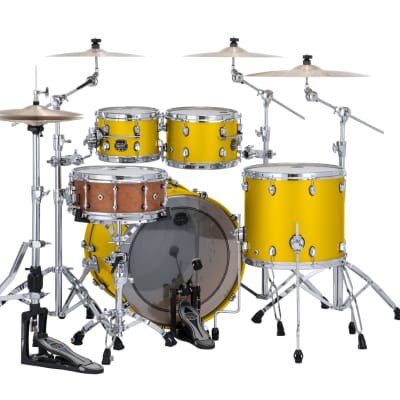 MAPEX SATURN EVOLUTION CLASSIC MAPLE 4-PIECE SHELL PACK - HALO MOUNTING SYSTEM - MAPLE AND WALNUT HYBRID SHELL - FINISH: Tuscan Yellow Lacquer (PM)  HARDWARE: Chrome Hardware (C) image 4