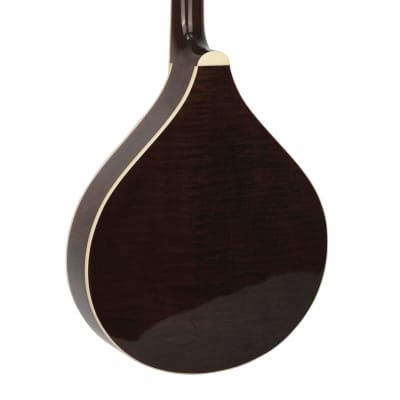 Gold Tone Banjola+ Wood-body Banjo w/Pickup image 9