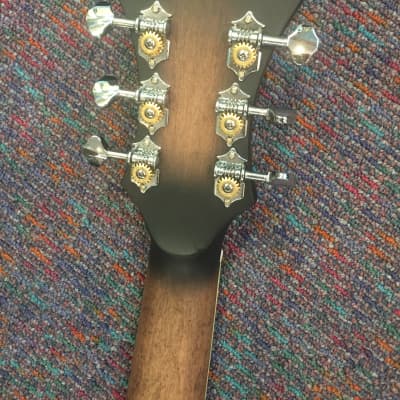 Gold Tone Mando Guitar Model F-6 Plays like Guitar-New with Case and Shop Setup! image 6