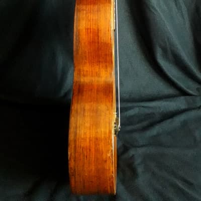 Parlor guitar Brazilian rosewood Germany (1890) image 11
