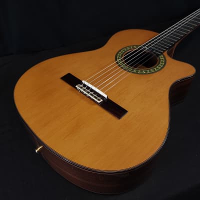 Alhambra 5P-CW-E1 Cutaway Acoustic Electric Classical Guitar w/Gig Bag image 1