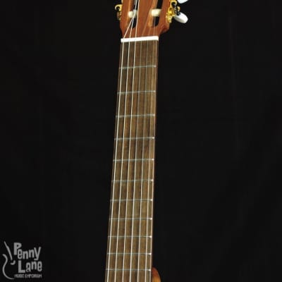 Teton STC105NT Solid Cedar Top Acoustic Classical Guitar image 5