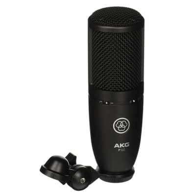 AKG P120 General-Purpose Medium Diaphragm Cardioid Condenser Microphone