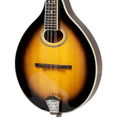 Gold Tone GM-50+/L A-Style Solid Spruce Top Maple Neck 8-String Mandolin w/Pickup & Gig Bag For Lefty - (B-Stock) image 1