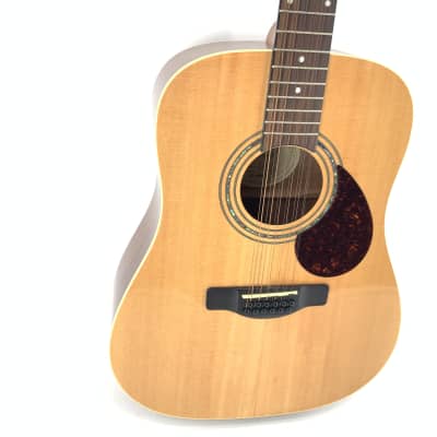 Samick Greg Benett Design 12 String Acoustic Guitar Model D-2-12 image 6
