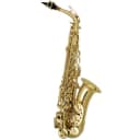 Palatino WI-819-A | Eb Alto Saxophone Outfit, with Case & Mouthpiece. New!