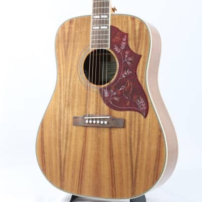 Epiphone Hummbird Koa Special [Overseas limited production