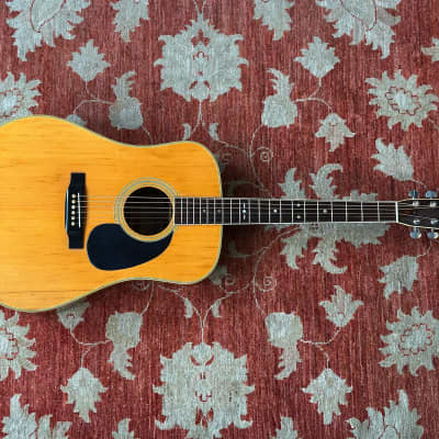 TOKAI GAKKI cat's-eye アコースティックCE23T-CS TOKAI GAKKI