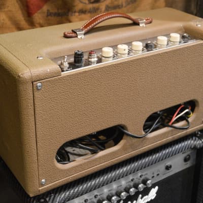 Beteramp Surf Reverb and Tremolo Unit Brown image 4