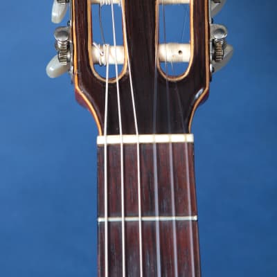 Giannini Craviola AWKNS6 / Nylon String and Bossa Ready! image 3