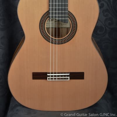 Raimundo Tatyana Ryzhkova Signature model, Cedar top  classical guitar image 15