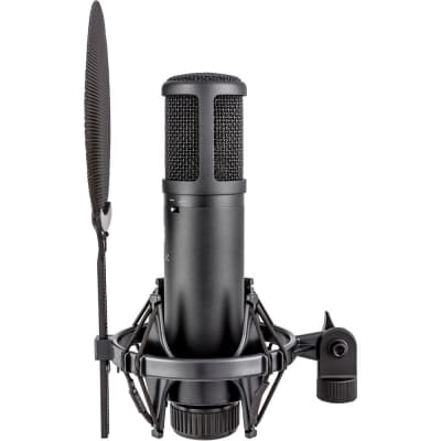 sE Electronics sE2200 Studio Condenser Cardioid Microphone with Isolation Pack image 14