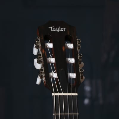 Taylor 312ce-N Grand Concert Nylon String Acoustic Electric Guitar Sapele image 13