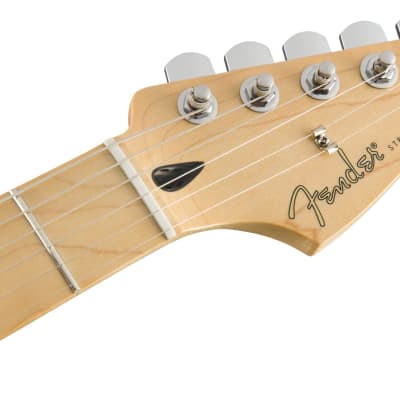 Fender Player Stratocaster, Maple Fingerboard, Black image 6