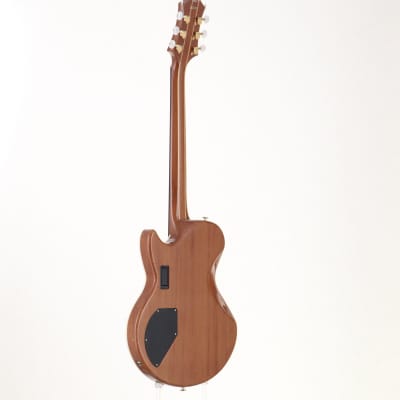 Guyatone EG-2100M Nobuhiro Mine Singnature [04/15] | Reverb