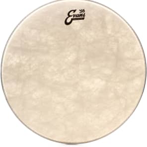 Evans Calftone Drumhead - 16 inch image 5