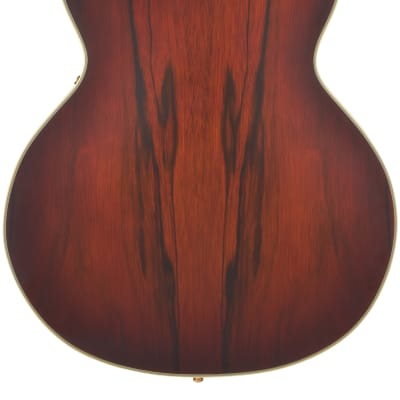 D'Angelico Deluxe SS Fully Hollow Single Cutaway Satin Brown Burst image 2