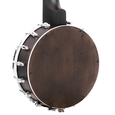 Gold Tone BUS: Soprano-Scale Banjo Ukulele with Case image 8