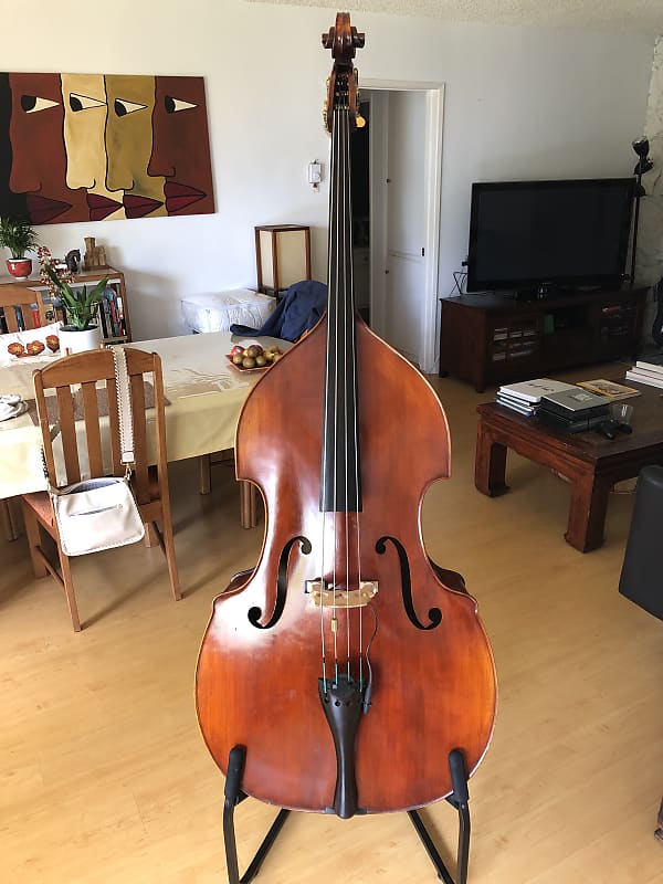 Eastman VB 305 Upright Bass Reverb