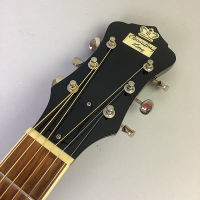 ギター Recording King RNJ-16 Recording King RNJ-16 Century Jubilee Troubadour (2011