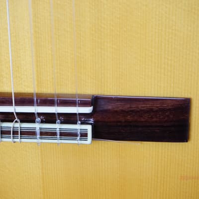 Alhambra 3F-CT-US Solid German Spruce Top Classical Nylon String Flamenco Guitar THIN BODY image 18