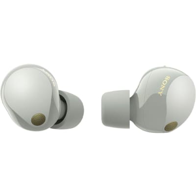 Sony Noise Canceling Truly Wireless Earbuds, Silver + Accessories + Warranty Bundle image 3