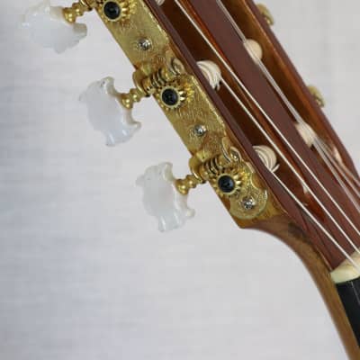Superior Brand Classical Cutaway Guitar - Made in Mexico - Berkeley Music Instrument Co. image 13