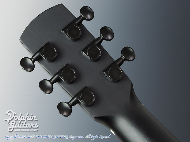 aNueNue ML16 Lumiblack Bird | Reverb