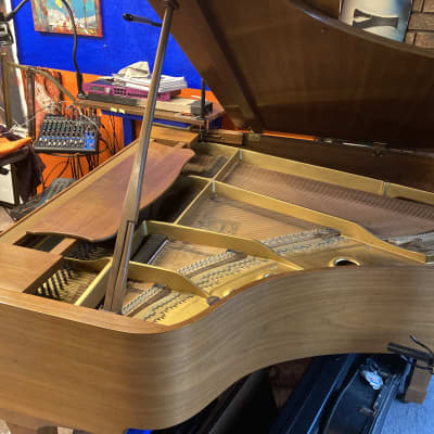 Yamaha Grand Piano G-2 1972 \ Walnut\  SN: E1443381 image 4