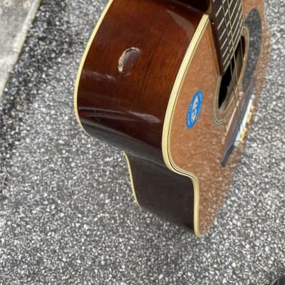 Fender F-55-12 1972 - 1978 - Natural string Acoustic Guitar image 6