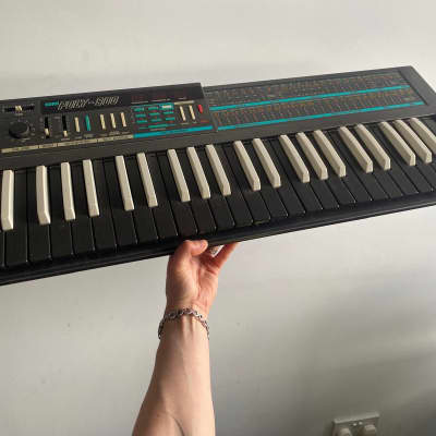 Korg Poly-800 Reverse Colour edition with mods