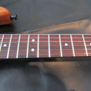 Hamer Prototype 1981 Natural with case image 11
