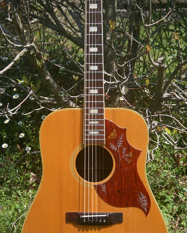 Takamine Elite HM-25 Hummingbird Replica Guitar 1974 Natural+Hard Case FREE