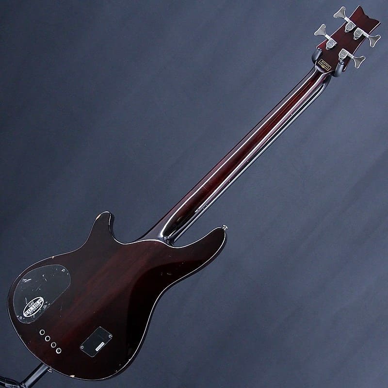 schecterシェクター AD-C-4-HR/BCH Hellraiser-4