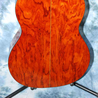 2012 New World Bubinga Model Classical Guitar Truss Rod New Strings Deluxe Original Hard Case image 11