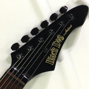 ギター GUITAR ARIA PRO II BLACK DOG Black Dog by Aria pro Ⅱ ST type mod. Electric Guitar | eBay