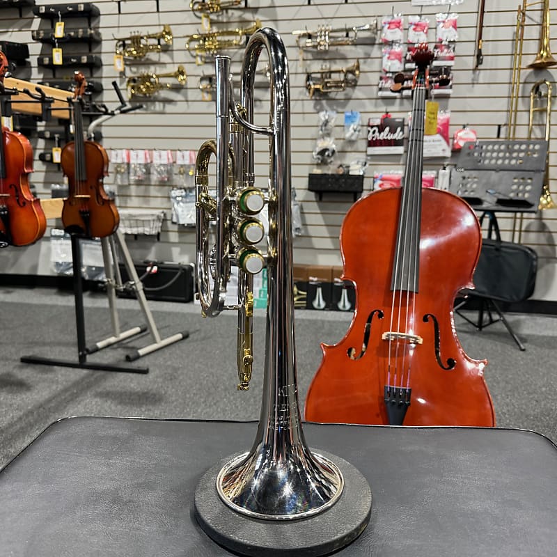 King Tempo 1970's Reverb