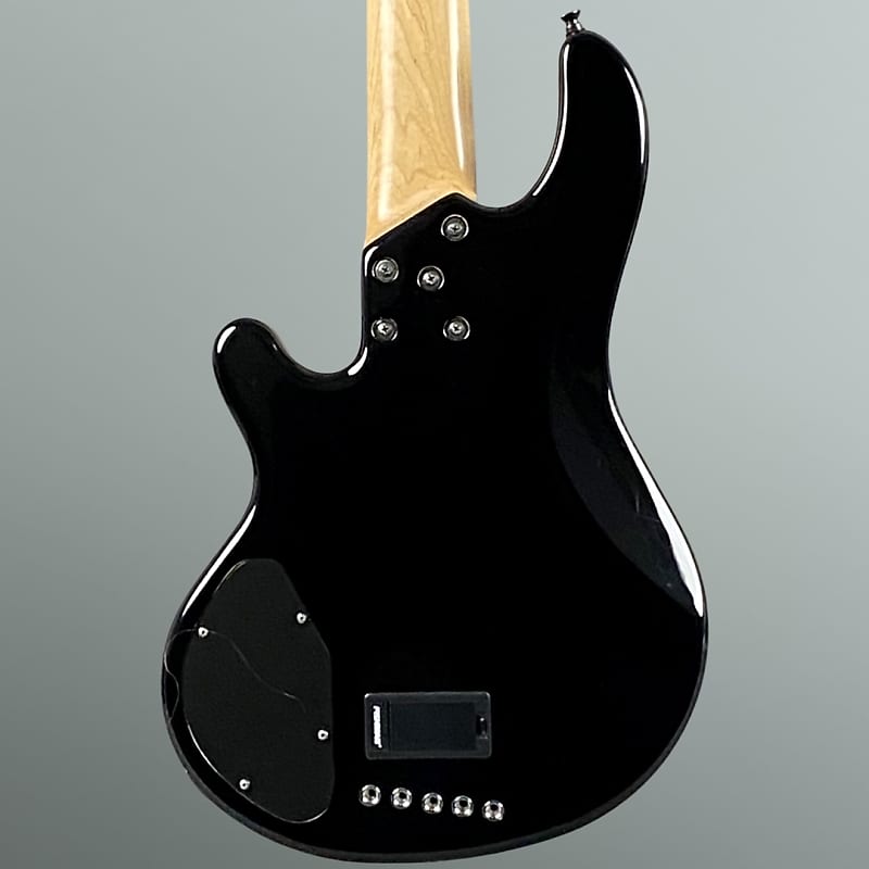 中古・美品 Lakland Skyline 55-01 (USA仕様) Used Lakland Skyline 55-01 Usa Specification Safe delivery
