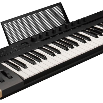 Korg Keystage 49 Poly AT MIDI Keyboard Controller PEDAL KIT
