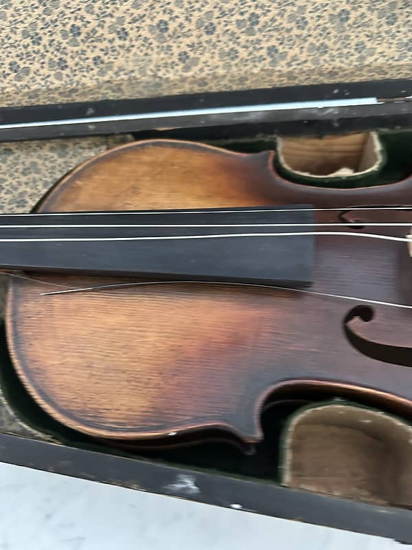 Luigiani バイオリン VL-20  4/4 Luigiani バイオリン VL-20 4/4