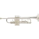 Bach TR200 Series Bb Trumpet Regular TR200S Silver