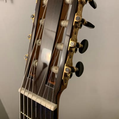 Daniel Mendes Eight String Guitar 2018 Cedar / Brazilian Rosewood image 7