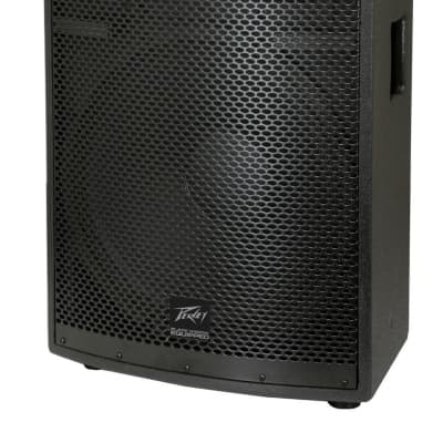 Peavey SP2 II Passive Speaker (500 Watts, 1x15"), Single Speaker image 4