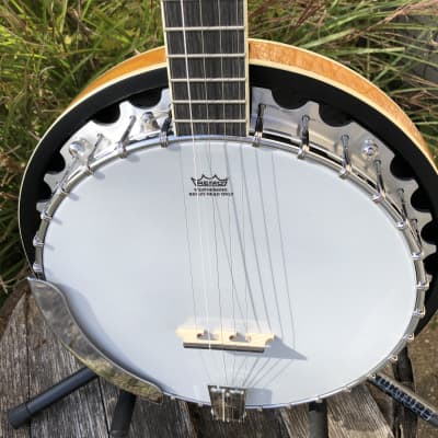 Washburn B9 Americana Series 5 String Banjo Sunburst B9-WSH-A image 1