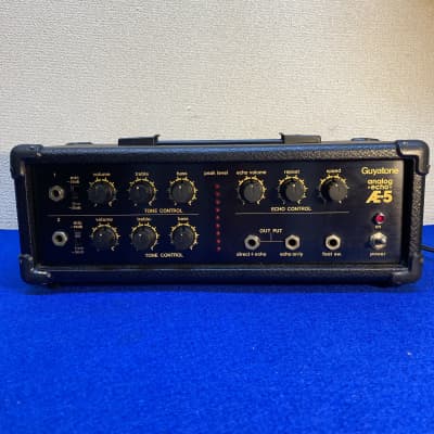 1980 Guyatone Analog echo AE-5 - Awesome echos- MN3005 chip for sale