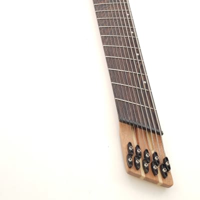 Agile 10 String Fan Fret Guitar w/ stainless frets & Fishman Agile 10 String Fan Fret Guitar w/ stainless frets & Fishman