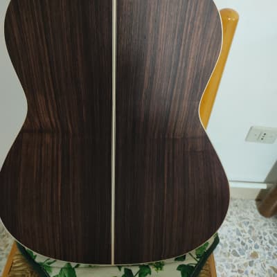 APC Luthier image 5